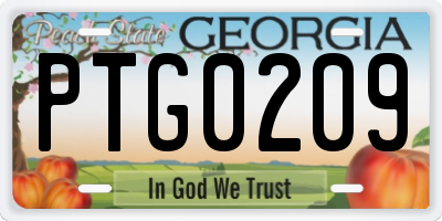 GA license plate PTG0209