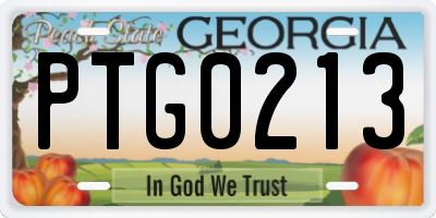GA license plate PTG0213
