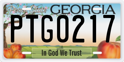 GA license plate PTG0217