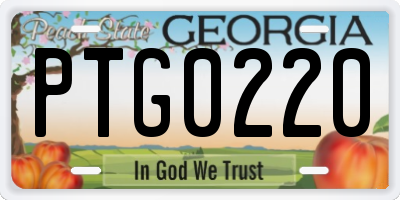 GA license plate PTG0220