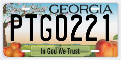 GA license plate PTG0221