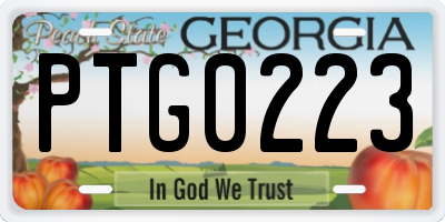 GA license plate PTG0223