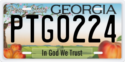 GA license plate PTG0224