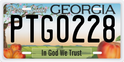 GA license plate PTG0228