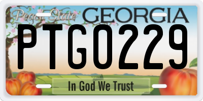 GA license plate PTG0229