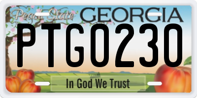 GA license plate PTG0230