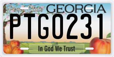 GA license plate PTG0231