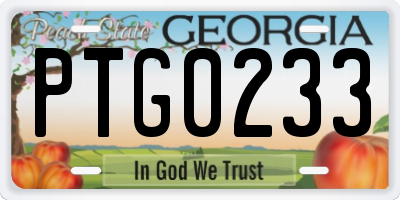 GA license plate PTG0233