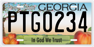 GA license plate PTG0234