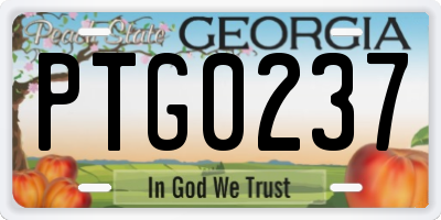 GA license plate PTG0237
