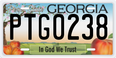 GA license plate PTG0238