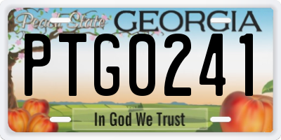 GA license plate PTG0241