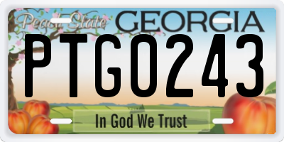 GA license plate PTG0243
