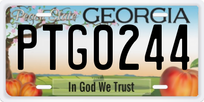 GA license plate PTG0244