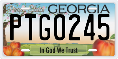 GA license plate PTG0245