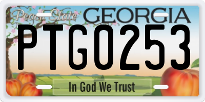 GA license plate PTG0253