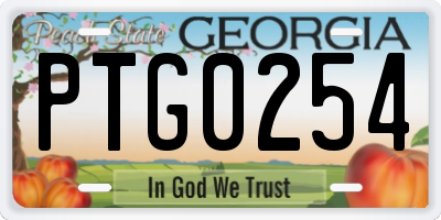 GA license plate PTG0254