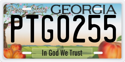 GA license plate PTG0255