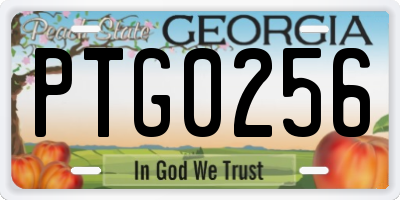 GA license plate PTG0256