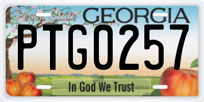 GA license plate PTG0257