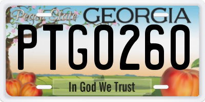 GA license plate PTG0260