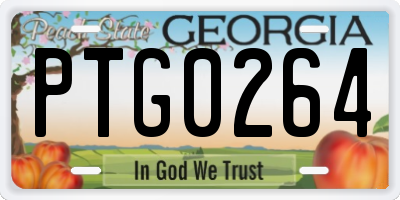 GA license plate PTG0264