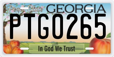 GA license plate PTG0265