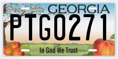 GA license plate PTG0271