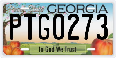 GA license plate PTG0273