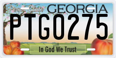 GA license plate PTG0275