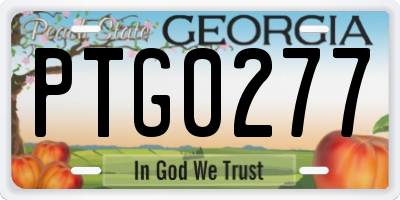 GA license plate PTG0277