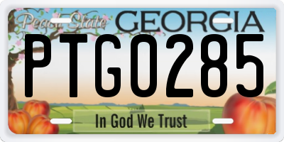 GA license plate PTG0285