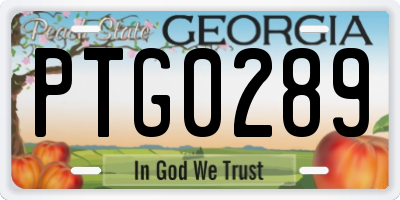 GA license plate PTG0289
