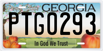 GA license plate PTG0293