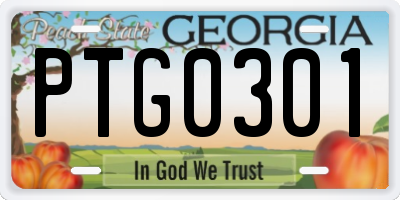 GA license plate PTG0301