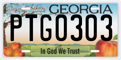 GA license plate PTG0303
