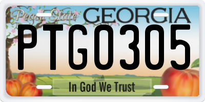 GA license plate PTG0305