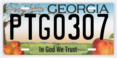 GA license plate PTG0307