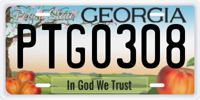 GA license plate PTG0308