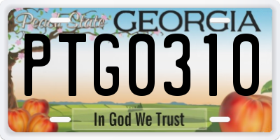 GA license plate PTG0310