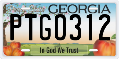GA license plate PTG0312