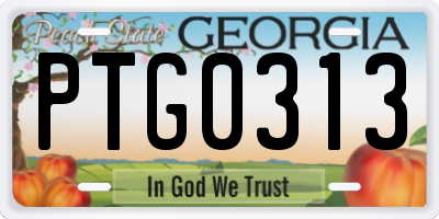 GA license plate PTG0313