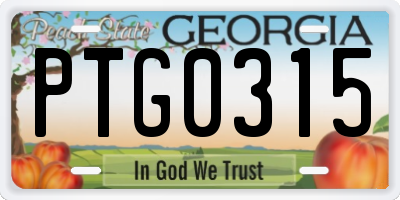 GA license plate PTG0315
