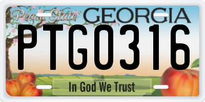 GA license plate PTG0316