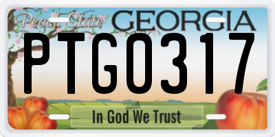GA license plate PTG0317