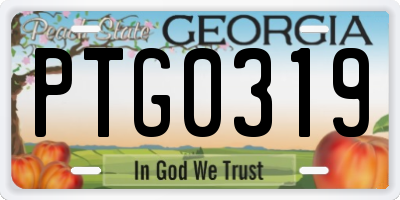 GA license plate PTG0319