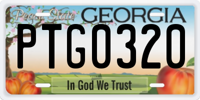 GA license plate PTG0320