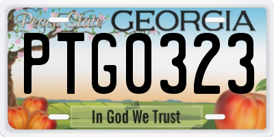 GA license plate PTG0323