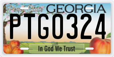 GA license plate PTG0324