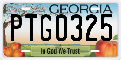 GA license plate PTG0325